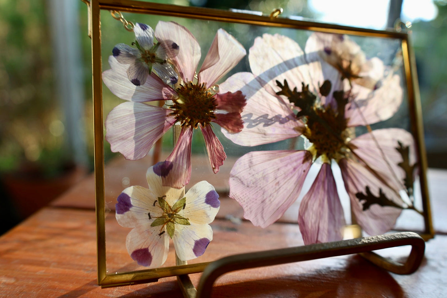 Pressed Flower Art in Gold Frame, 4”x6”