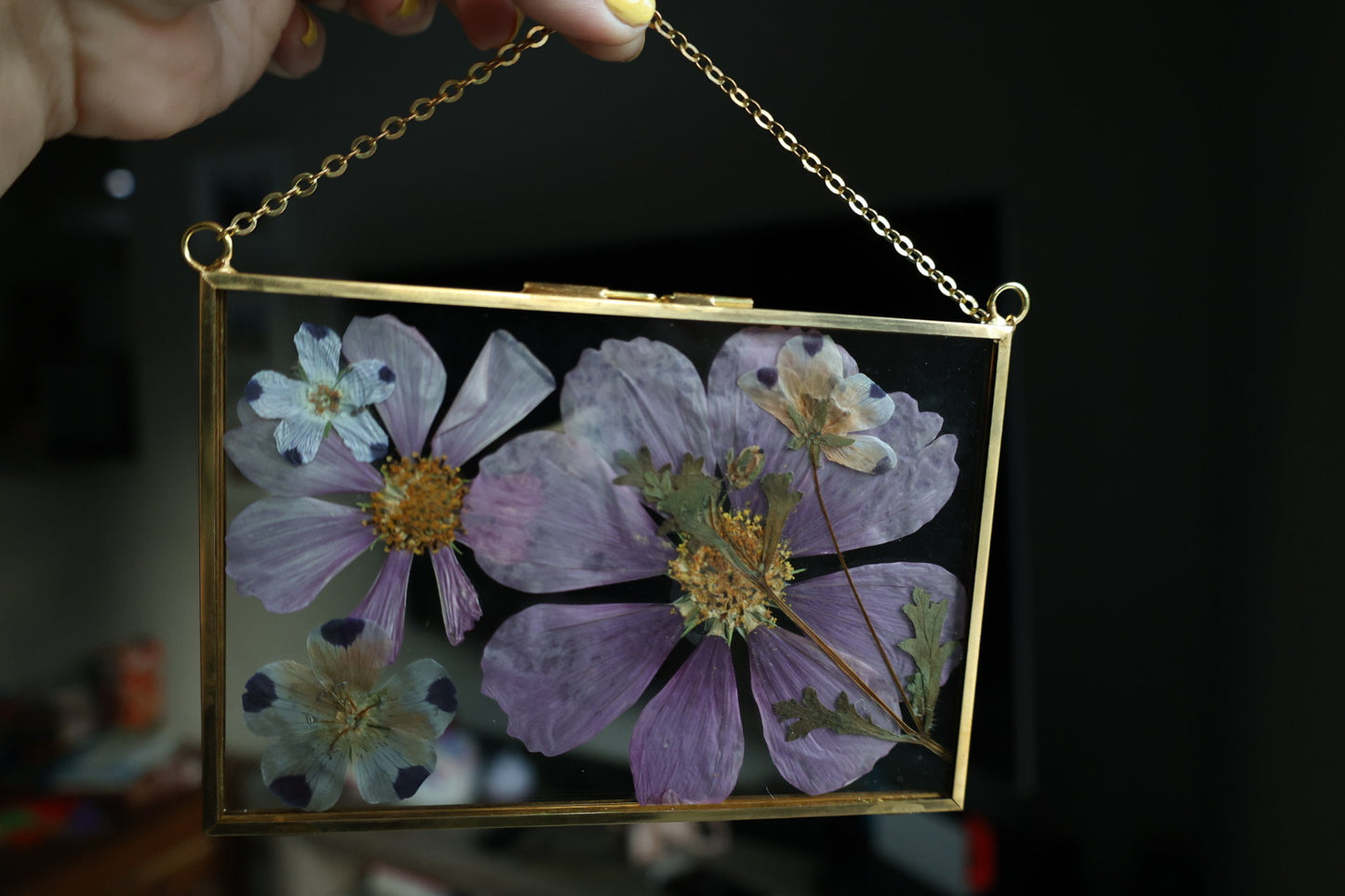 Pressed Flower Art in Gold Frame, 4”x6”
