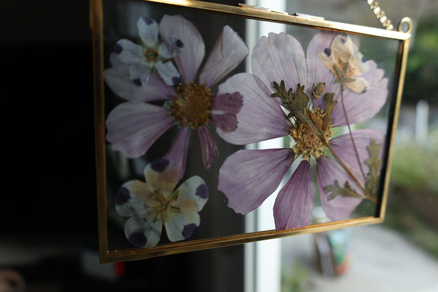 Pressed Flower Art in Gold Frame, 4”x6”