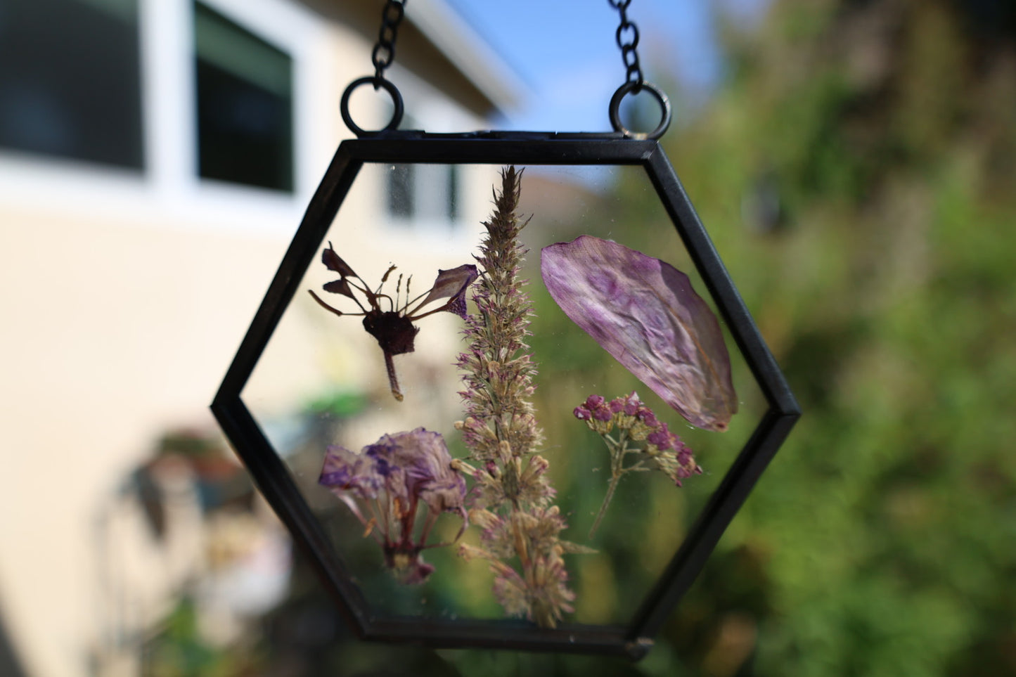 Pressed Flowers in Frame, Hexagon, Black, 2”x2”