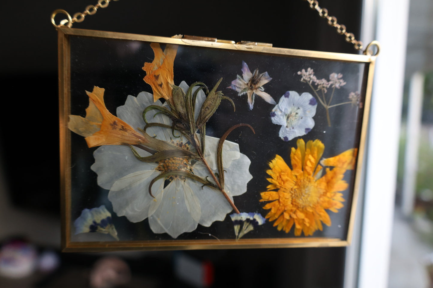 Pressed Flower Art with Real Flowers in Gold Frame with Chain, 4”x6”