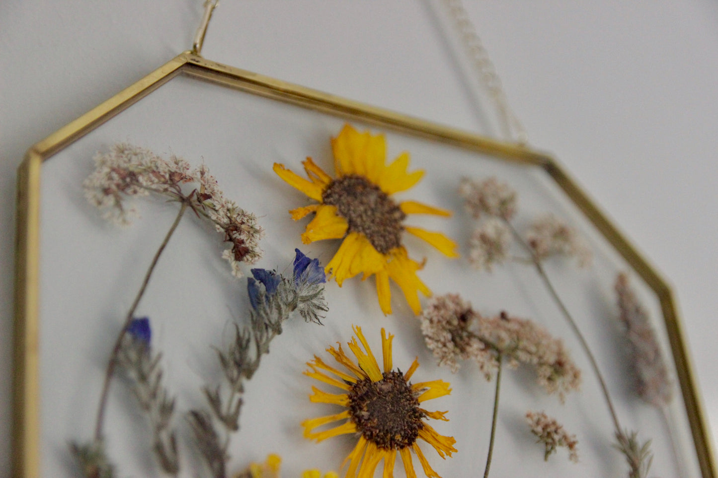 Pressed Flowers in Large Gold Hexagon Frame, 8"x10"
