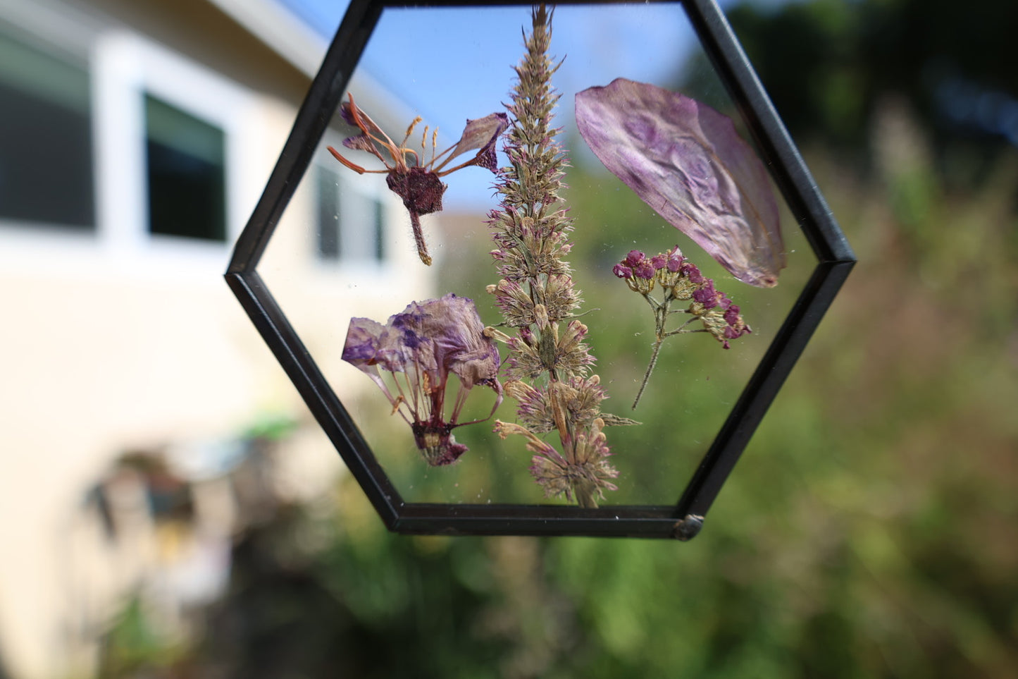 Pressed Flowers in Frame, Hexagon, Black, 2”x2”