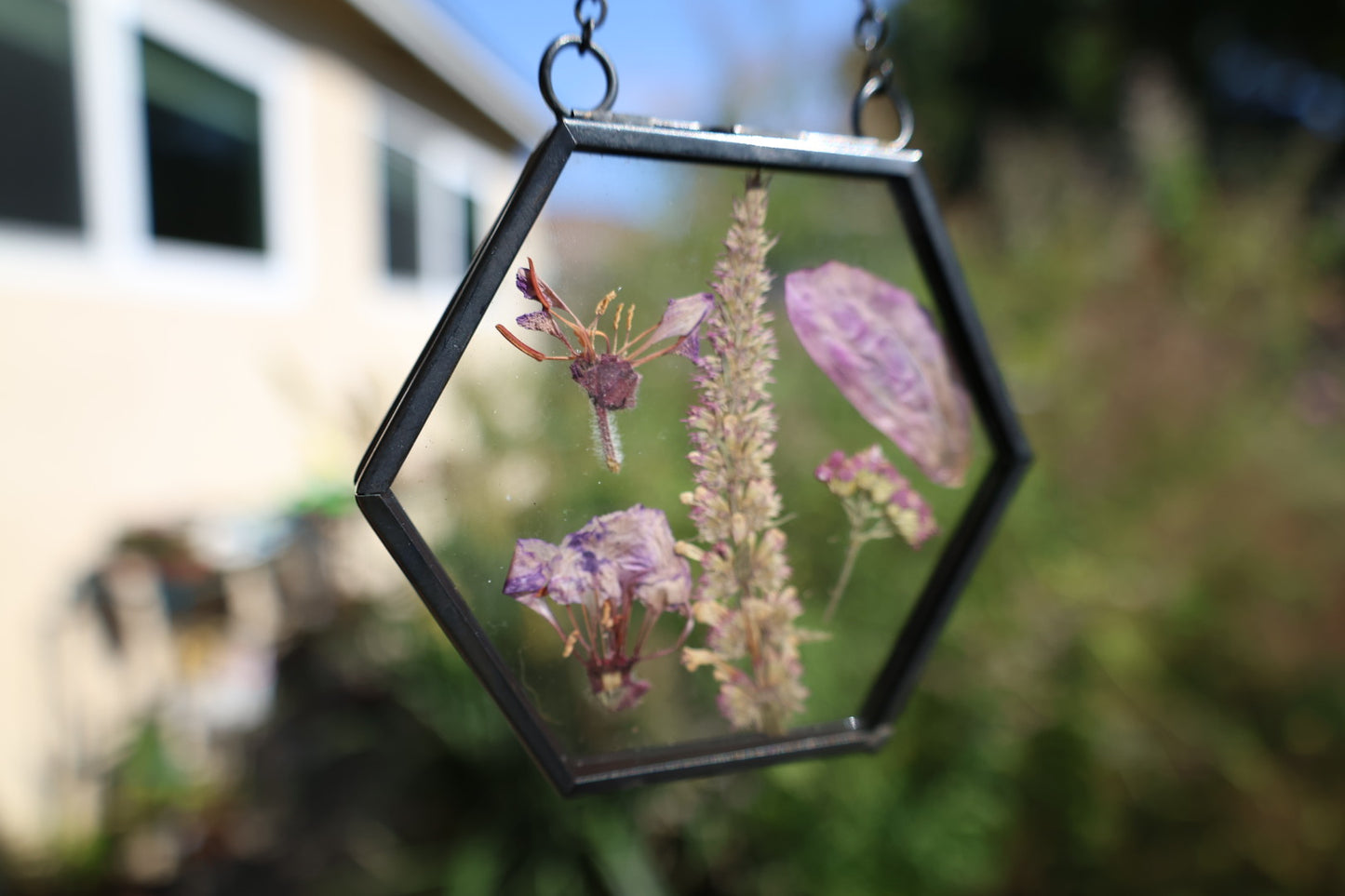 Pressed Flowers in Frame, Hexagon, Black, 2”x2”