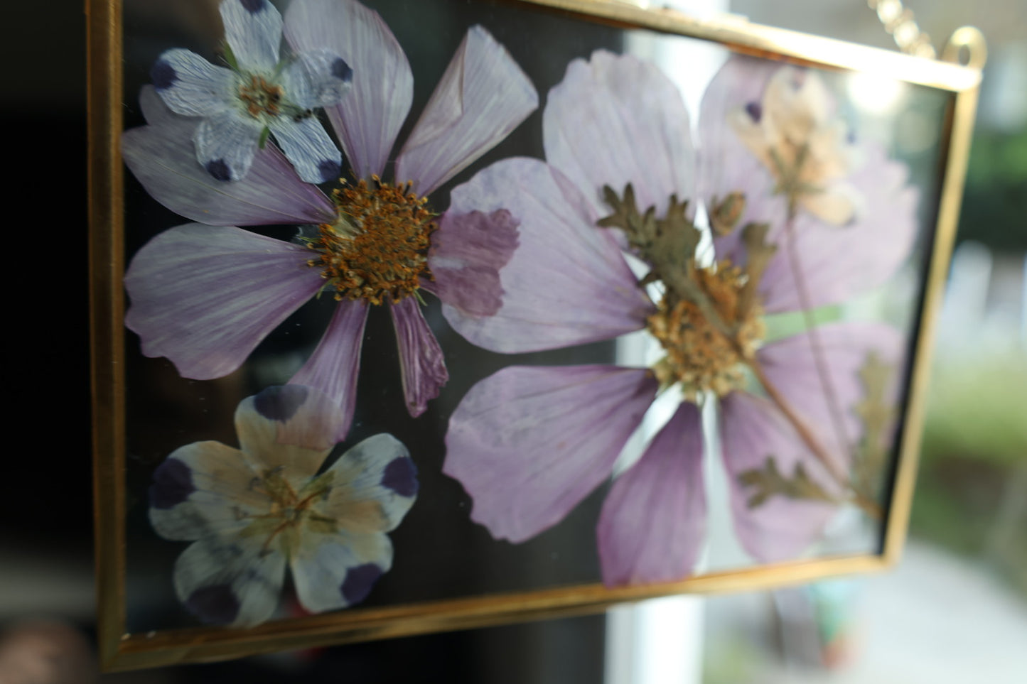 Pressed Flower Art in Gold Frame, 4”x6”