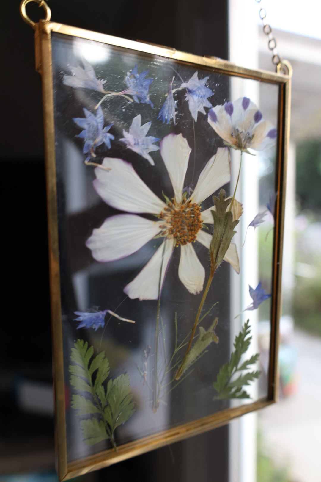 Pressed Flowers in Gold Frame, 4”x6”