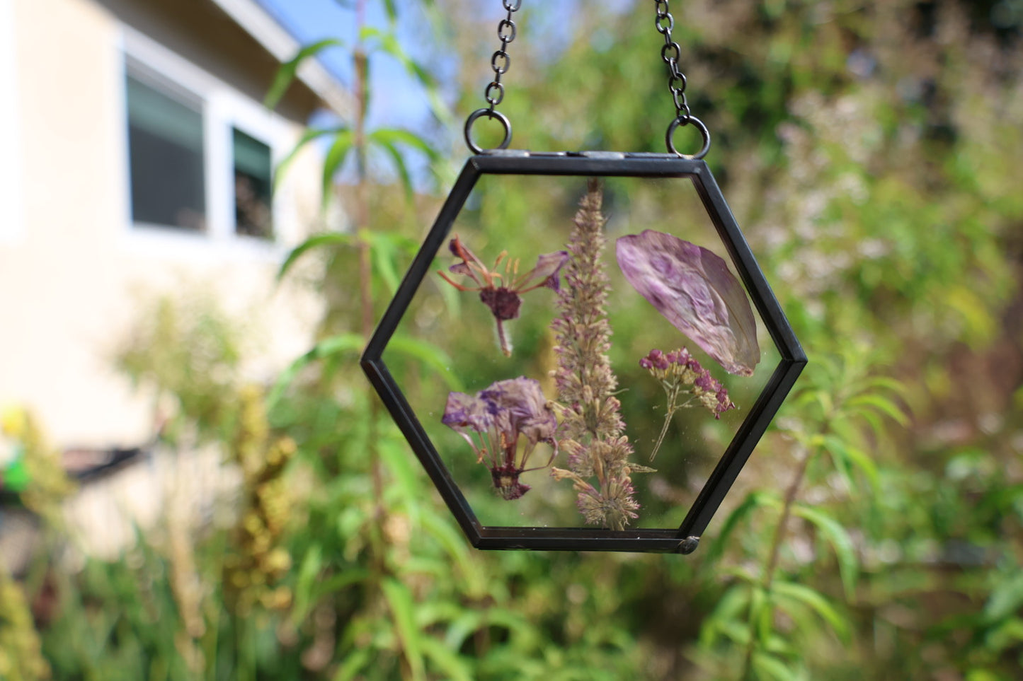 Pressed Flowers in Frame, Hexagon, Black, 2”x2”