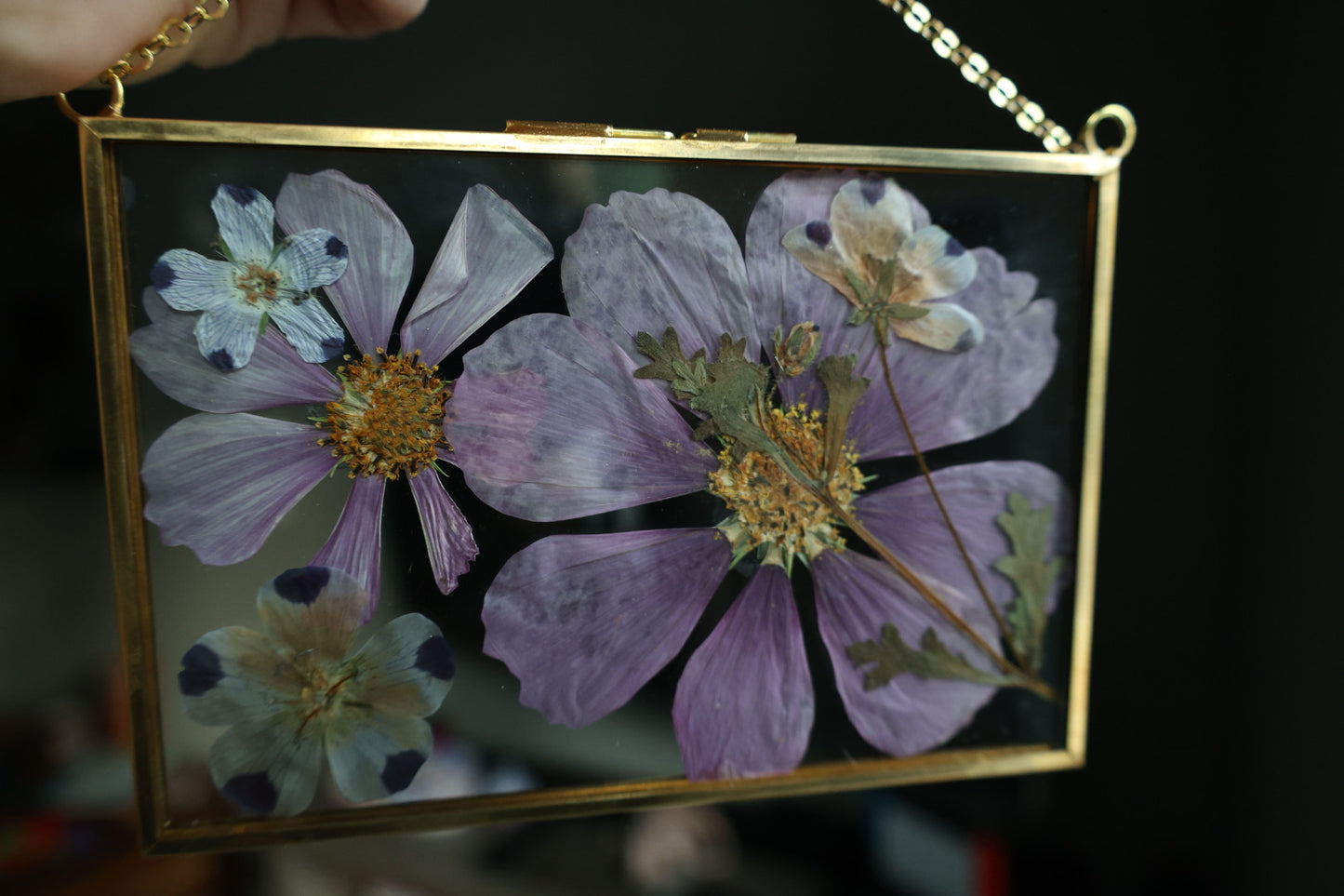 Pressed Flower Art in Gold Frame, 4”x6”