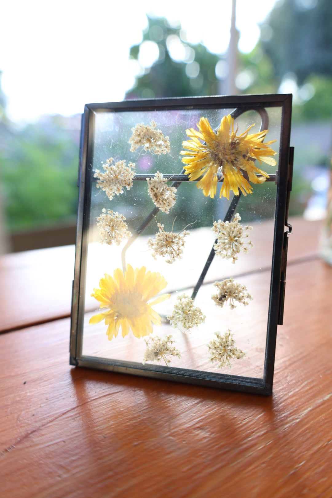 Pressed Flowers in Glass Frame, 3”x4”