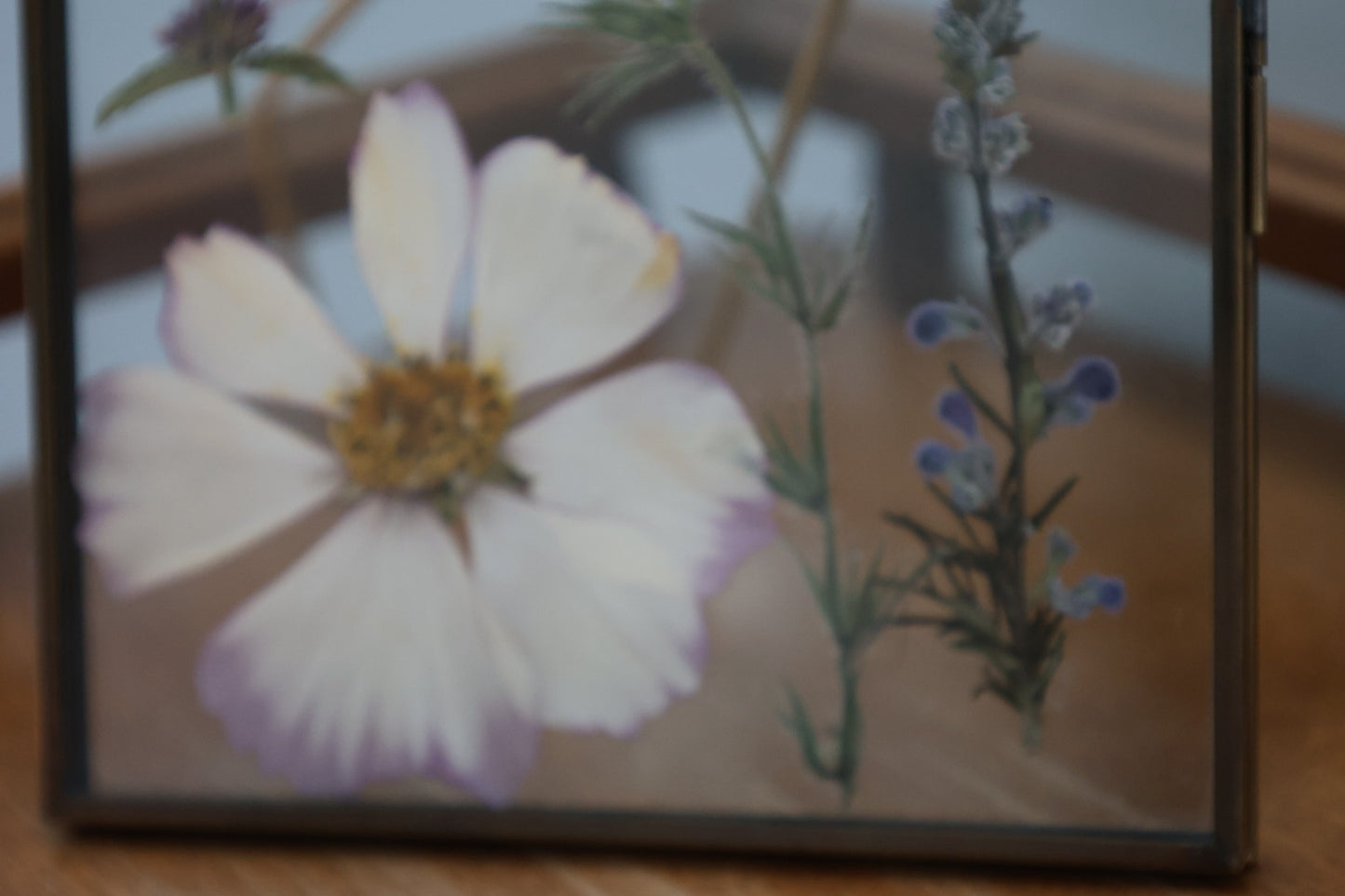 Pressed Flower Frame with Real Flowers in Antique Brass, 5"x7"