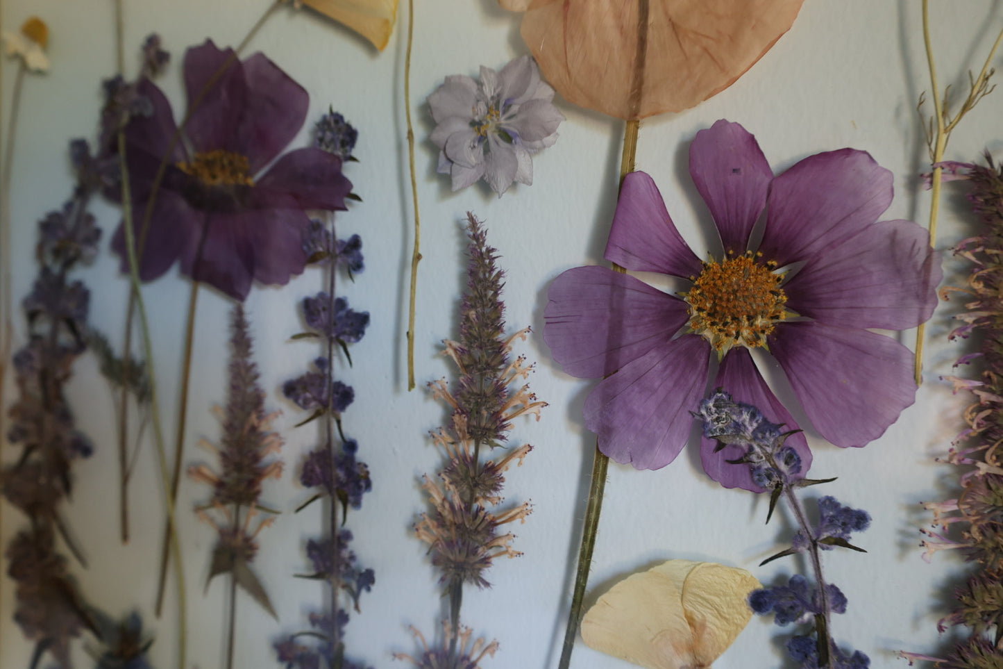Pressed Flower Frame with Real Flowers, Rose Gold, 8.5x11
