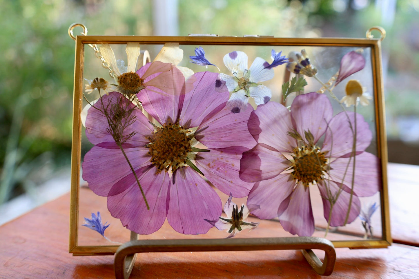 Pressed Floral Art in Gold Frame with Pressed Cosmo Flowers, 4"x6"
