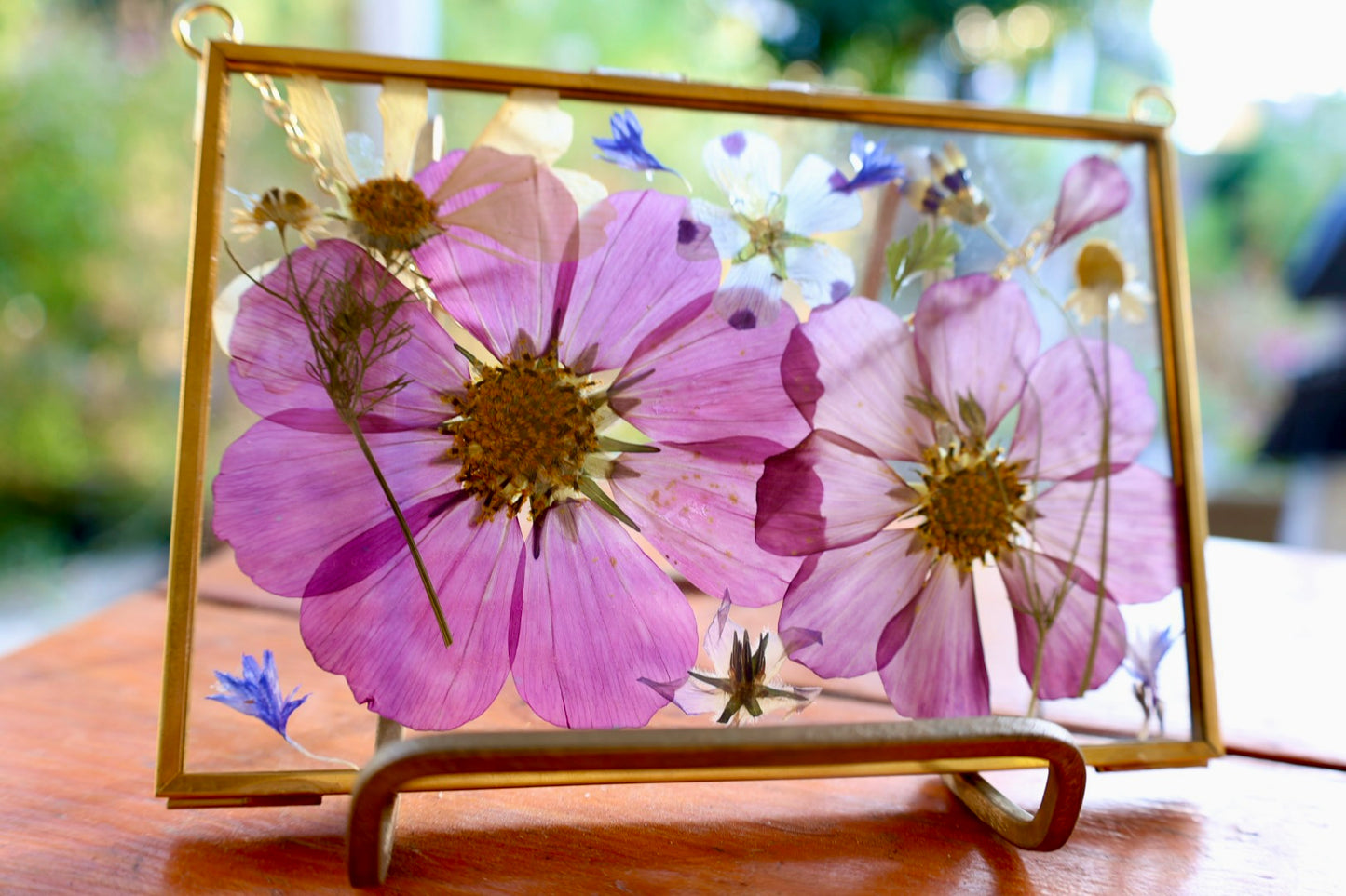 Pressed Floral Art in Gold Frame with Pressed Cosmo Flowers, 4"x6"