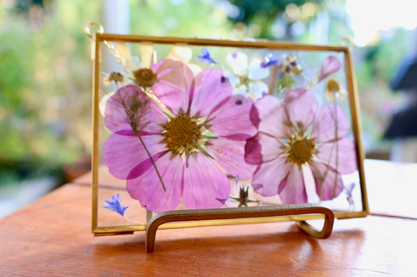 Pressed Floral Art in Gold Frame with Pressed Cosmo Flowers, 4"x6"