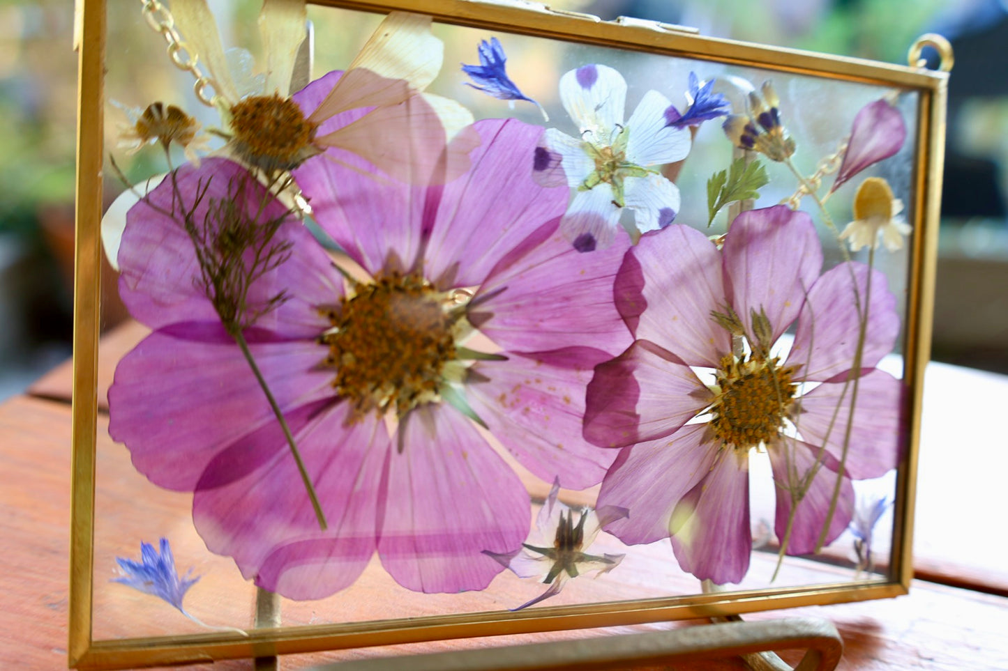 Pressed Floral Art in Gold Frame with Pressed Cosmo Flowers, 4"x6"