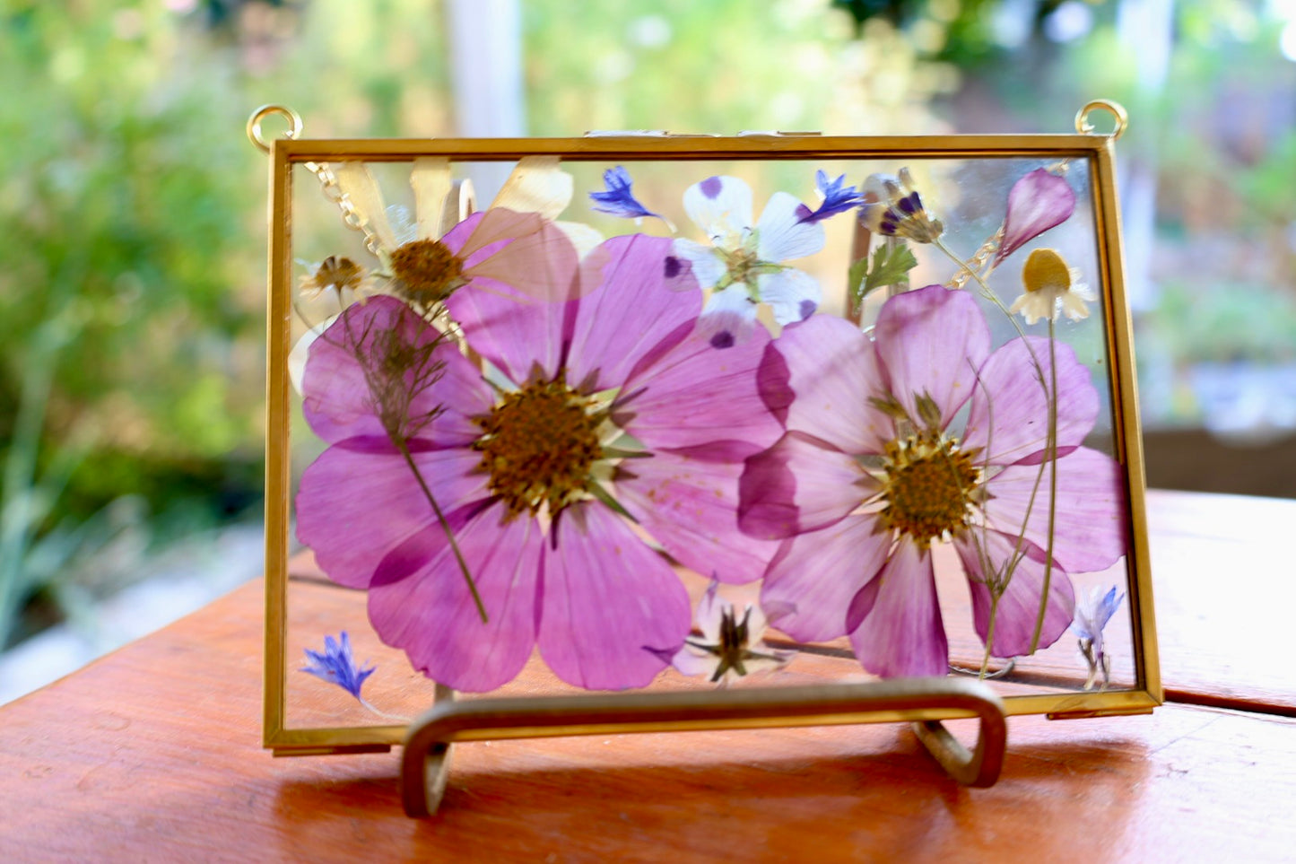 Pressed Floral Art in Gold Frame with Pressed Cosmo Flowers, 4"x6"