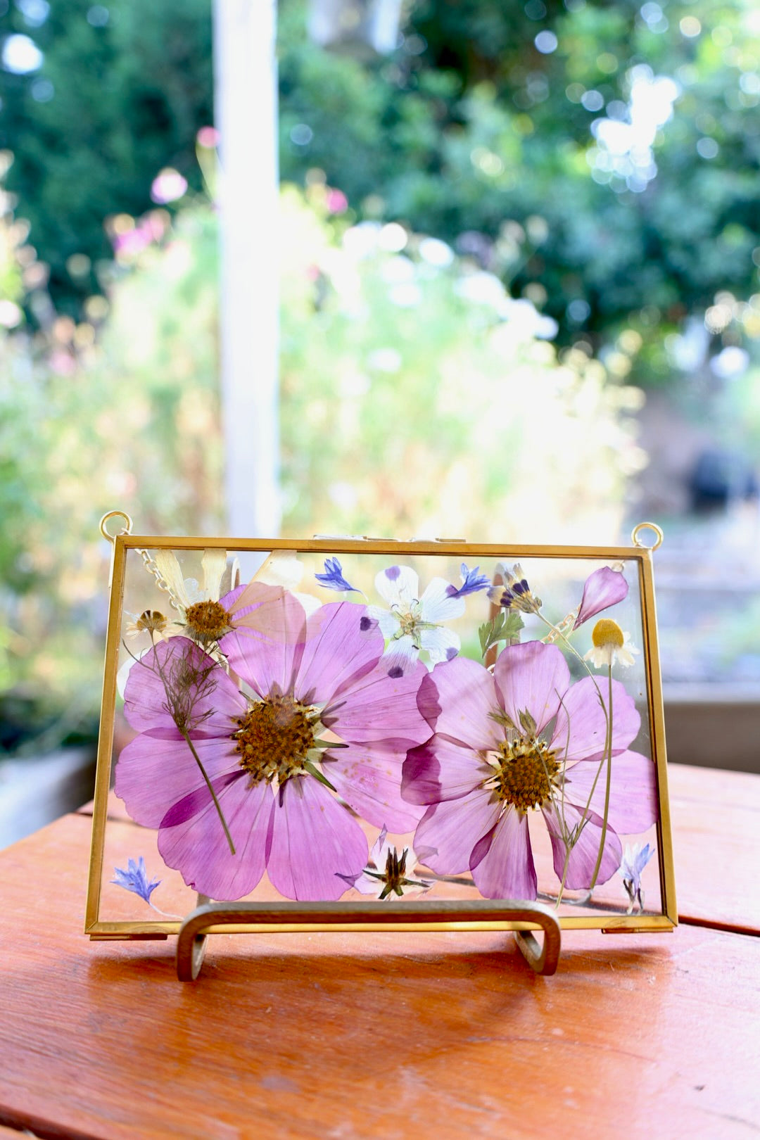 Pressed Floral Art in Gold Frame with Pressed Cosmo Flowers, 4"x6"