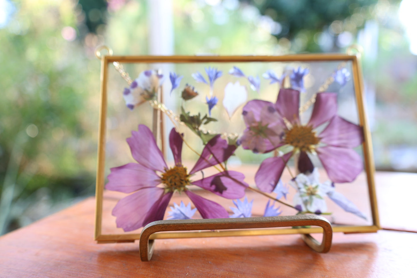 Pressed Pink Cosmo Flowers in Gold Frame, 4"x6"
