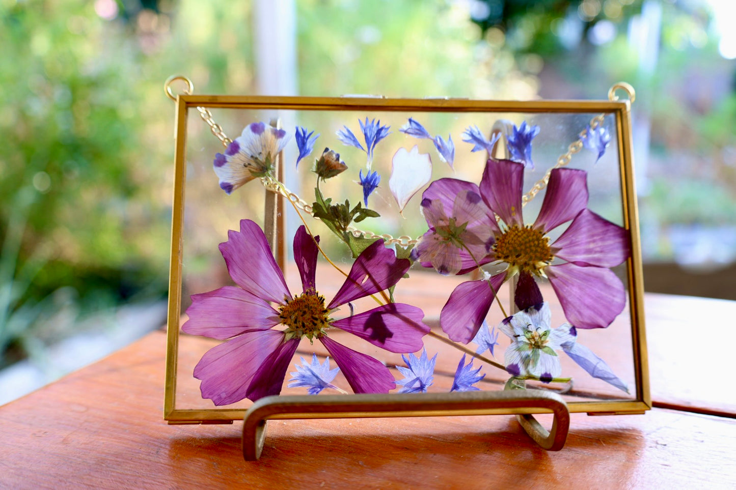 Pressed Pink Cosmo Flowers in Gold Frame, 4"x6"