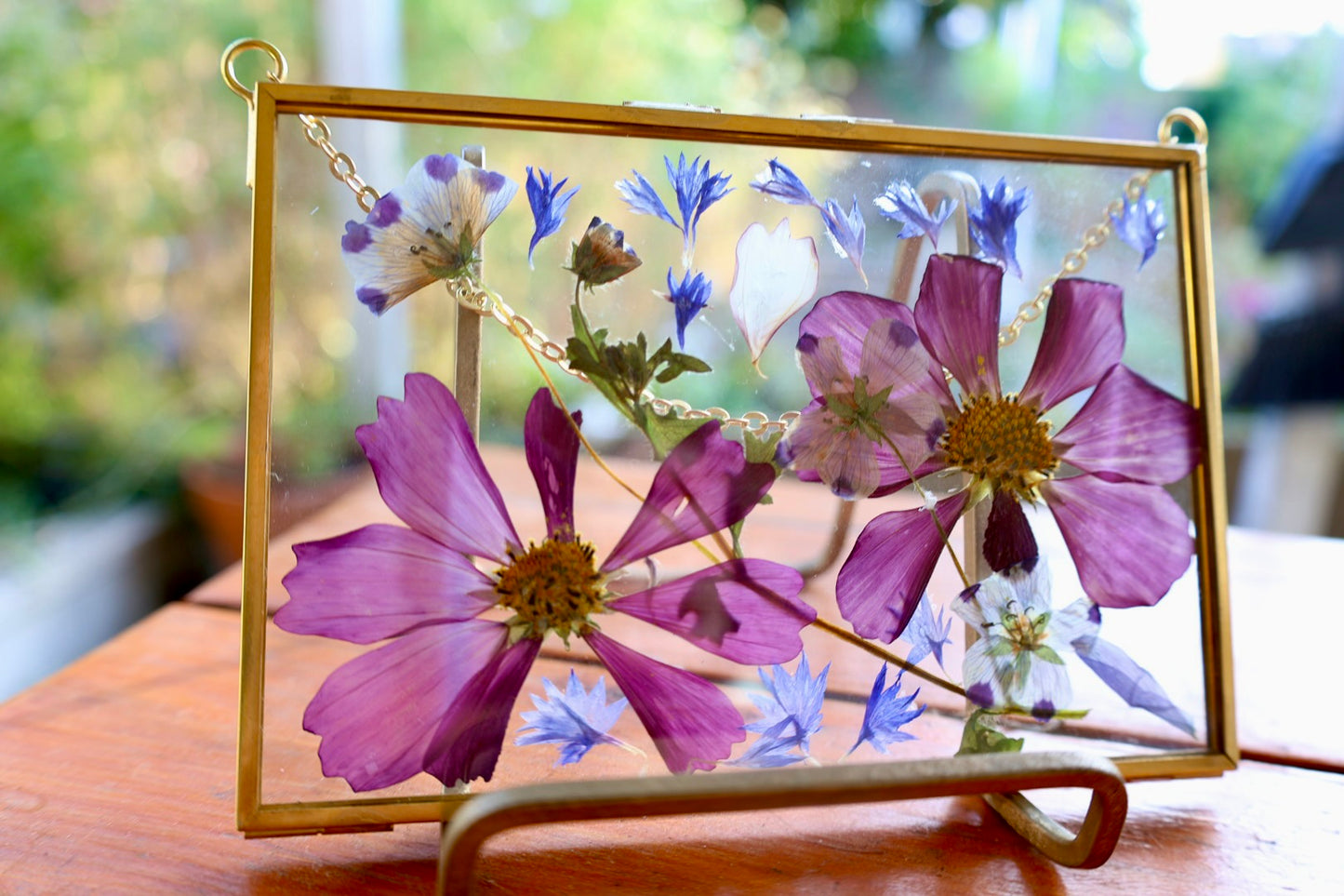 Pressed Pink Cosmo Flowers in Gold Frame, 4"x6"