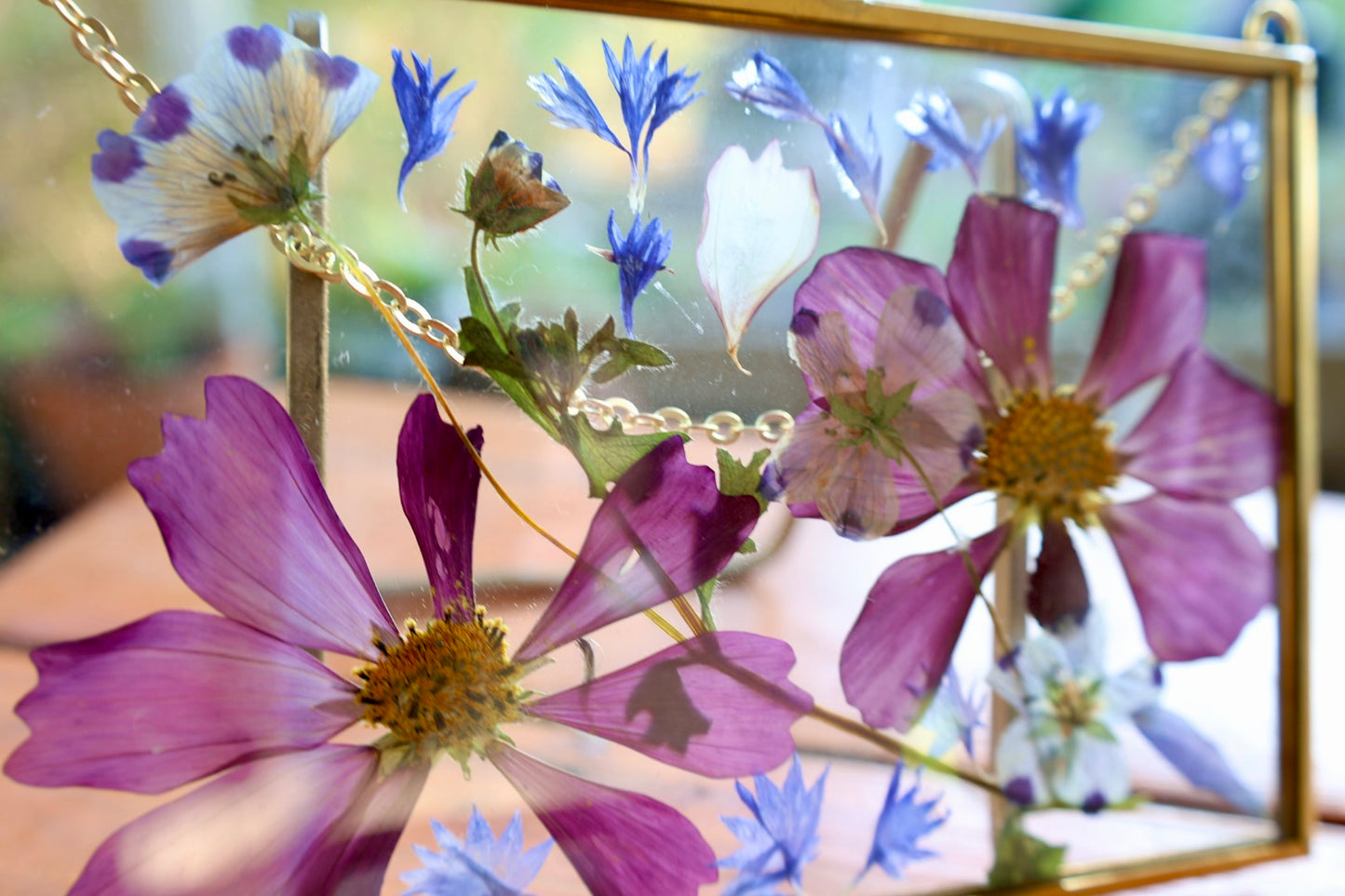 Pressed Pink Cosmo Flowers in Gold Frame, 4"x6"