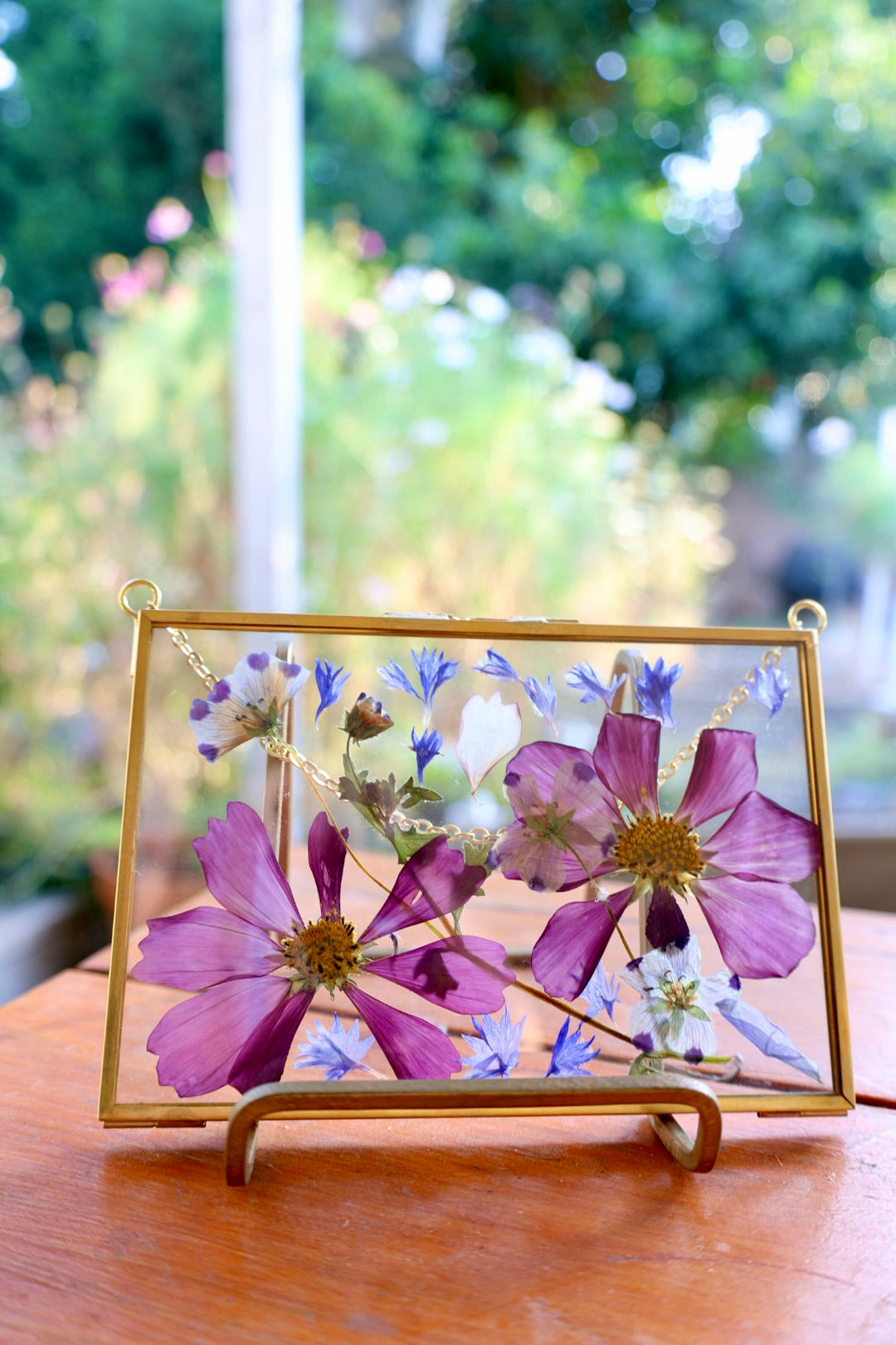 Pressed Pink Cosmo Flowers in Gold Frame, 4"x6"