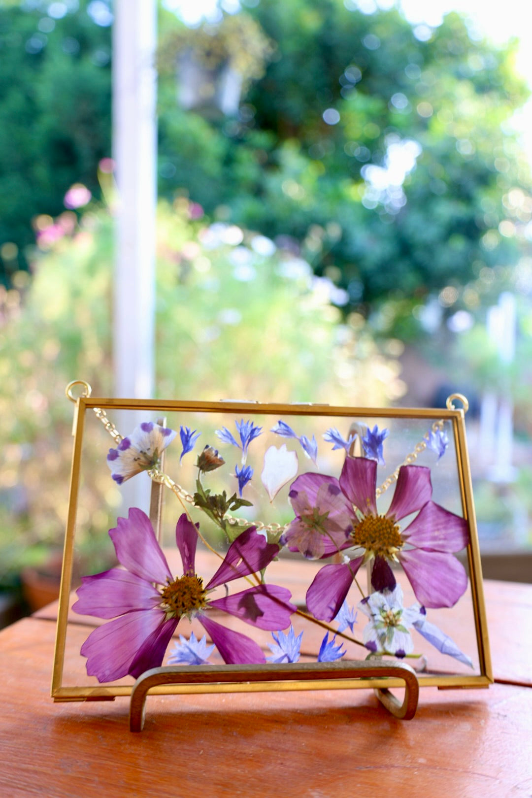 Pressed Pink Cosmo Flowers in Gold Frame, 4"x6"