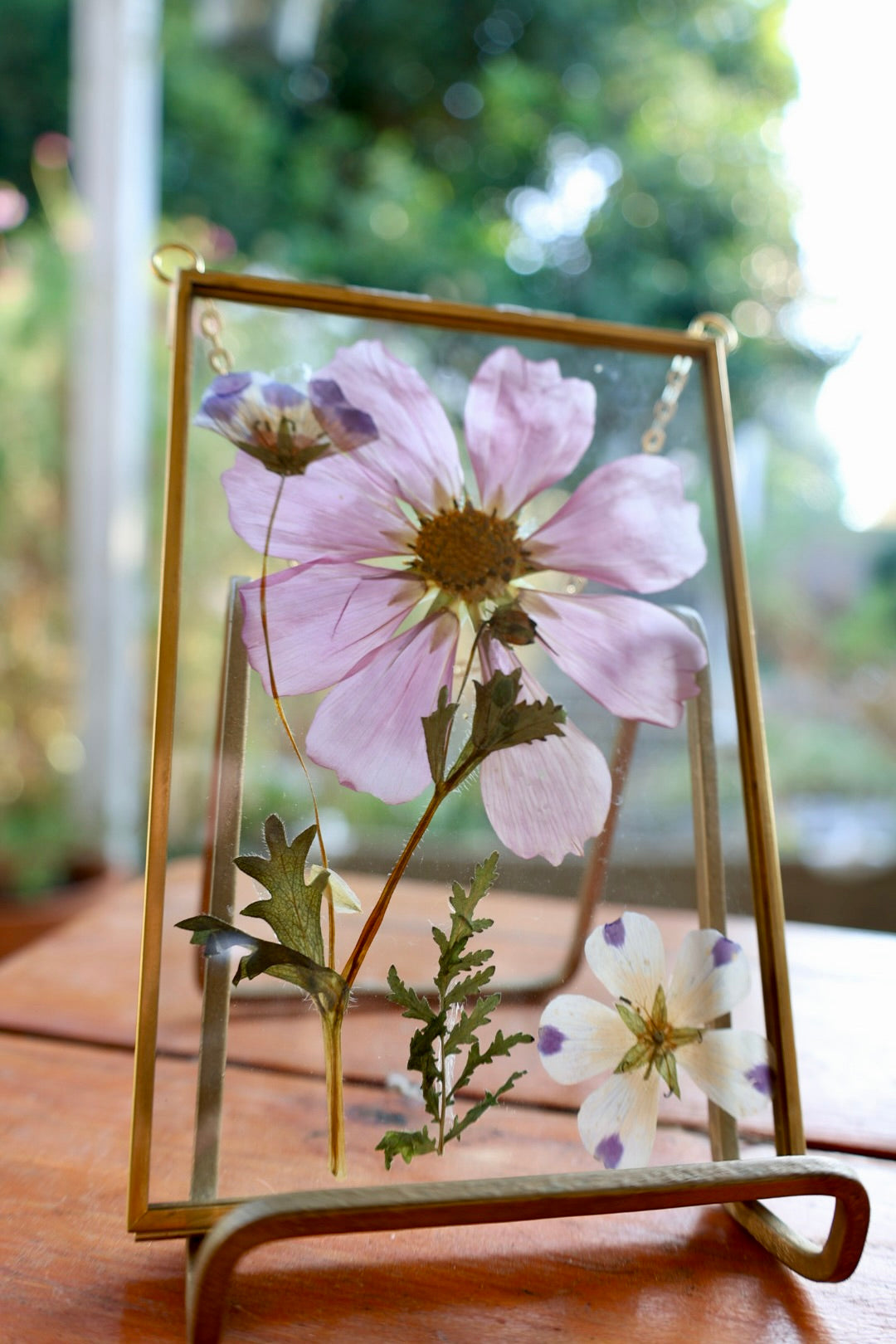 Pressed Flower Art in Gold Frame with Cosmos and California Native Flowers, 4"x6"