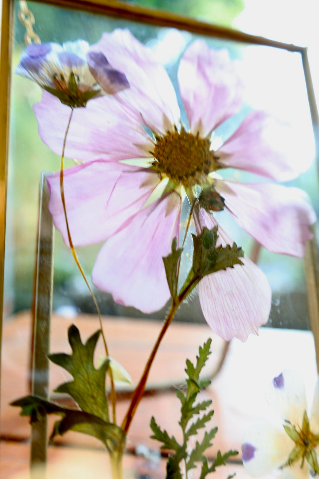 Pressed Flower Art in Gold Frame with Cosmos and California Native Flowers, 4"x6"
