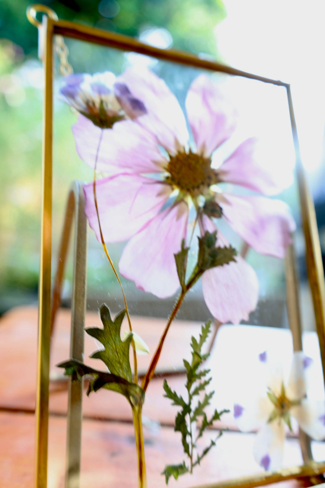 Pressed Flower Art in Gold Frame with Cosmos and California Native Flowers, 4"x6"