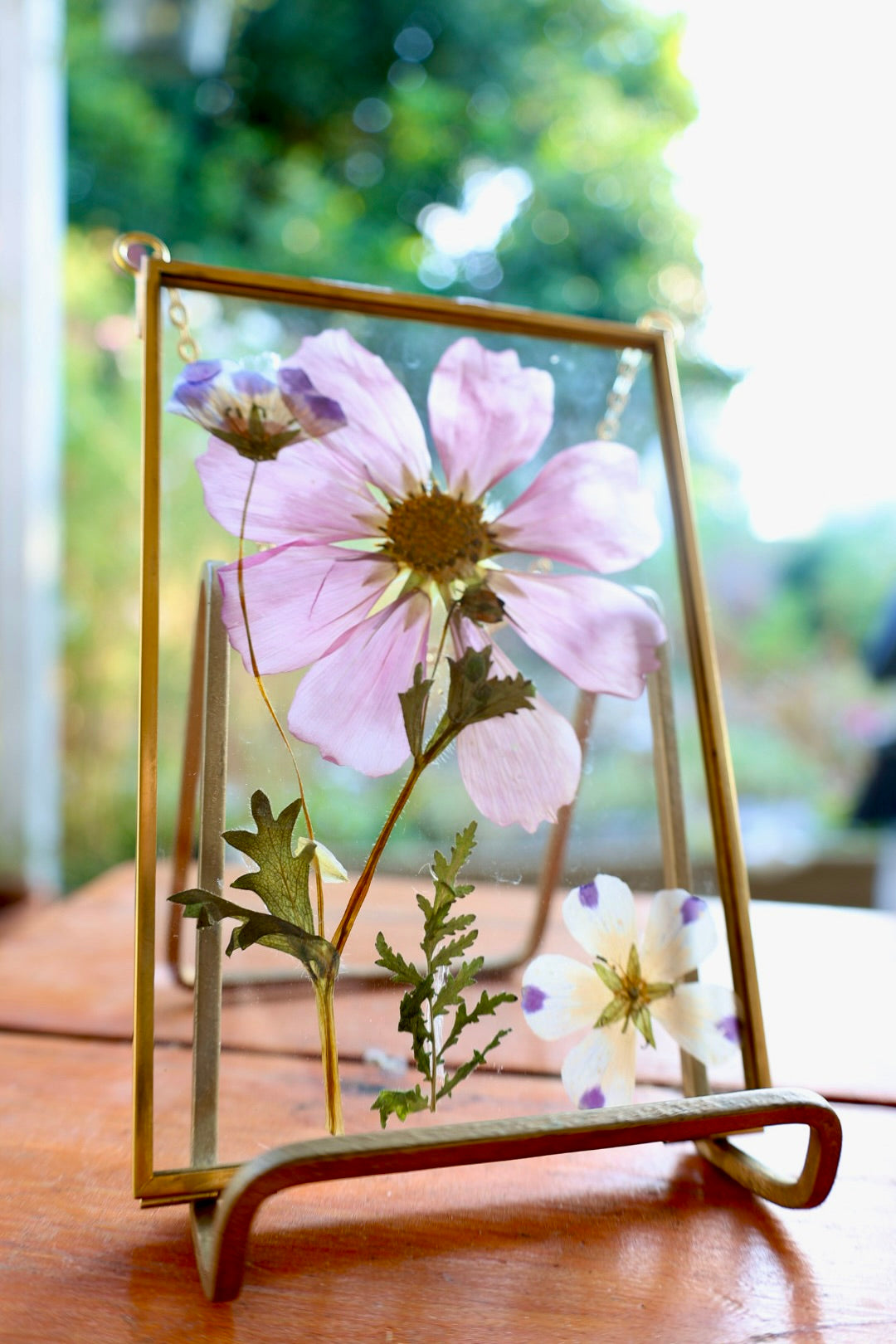 Pressed Flower Art in Gold Frame with Cosmos and California Native Flowers, 4"x6"