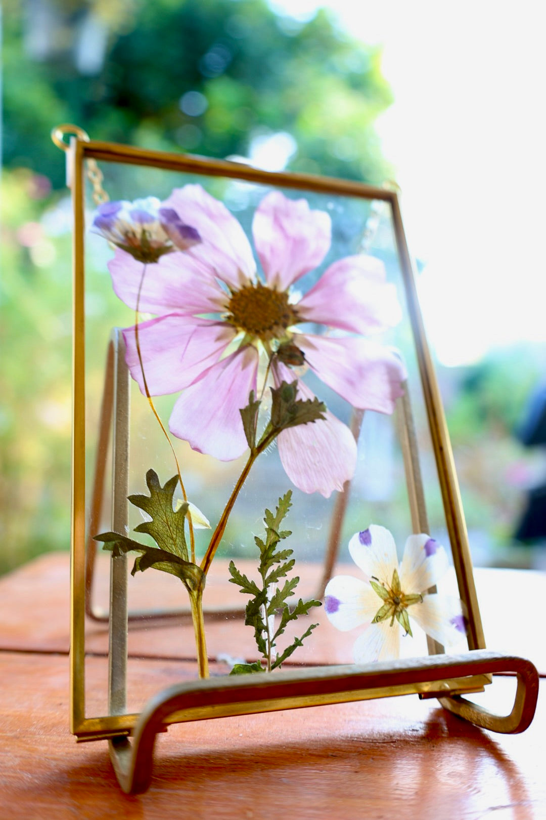 Pressed Flower Art in Gold Frame with Cosmos and California Native Flowers, 4"x6"