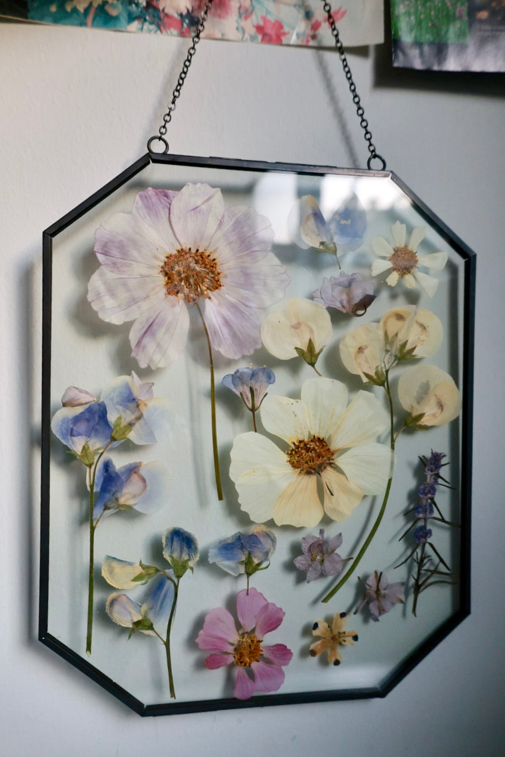 Pressed Flower Art, 8x10, Black, Octagon