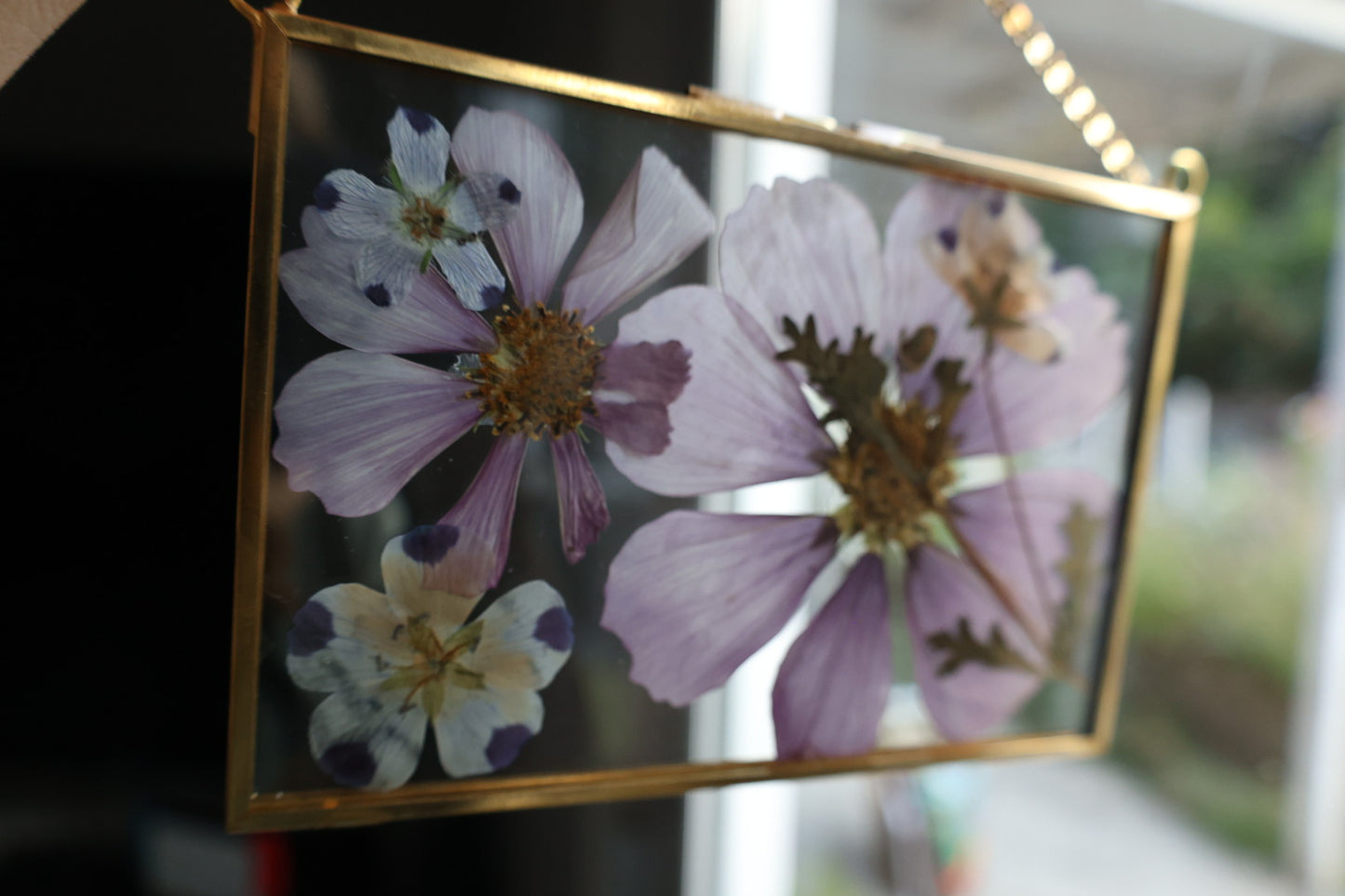 Pressed Flower Art in Gold Frame, 4”x6”