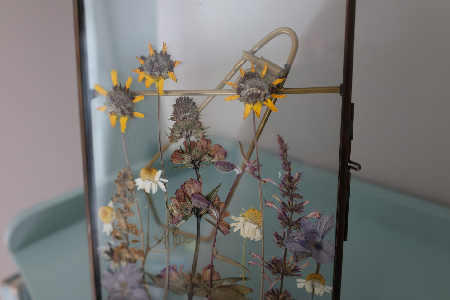 Pressed Flowers in Antique Brass Frame, 5 in. x 7 in.