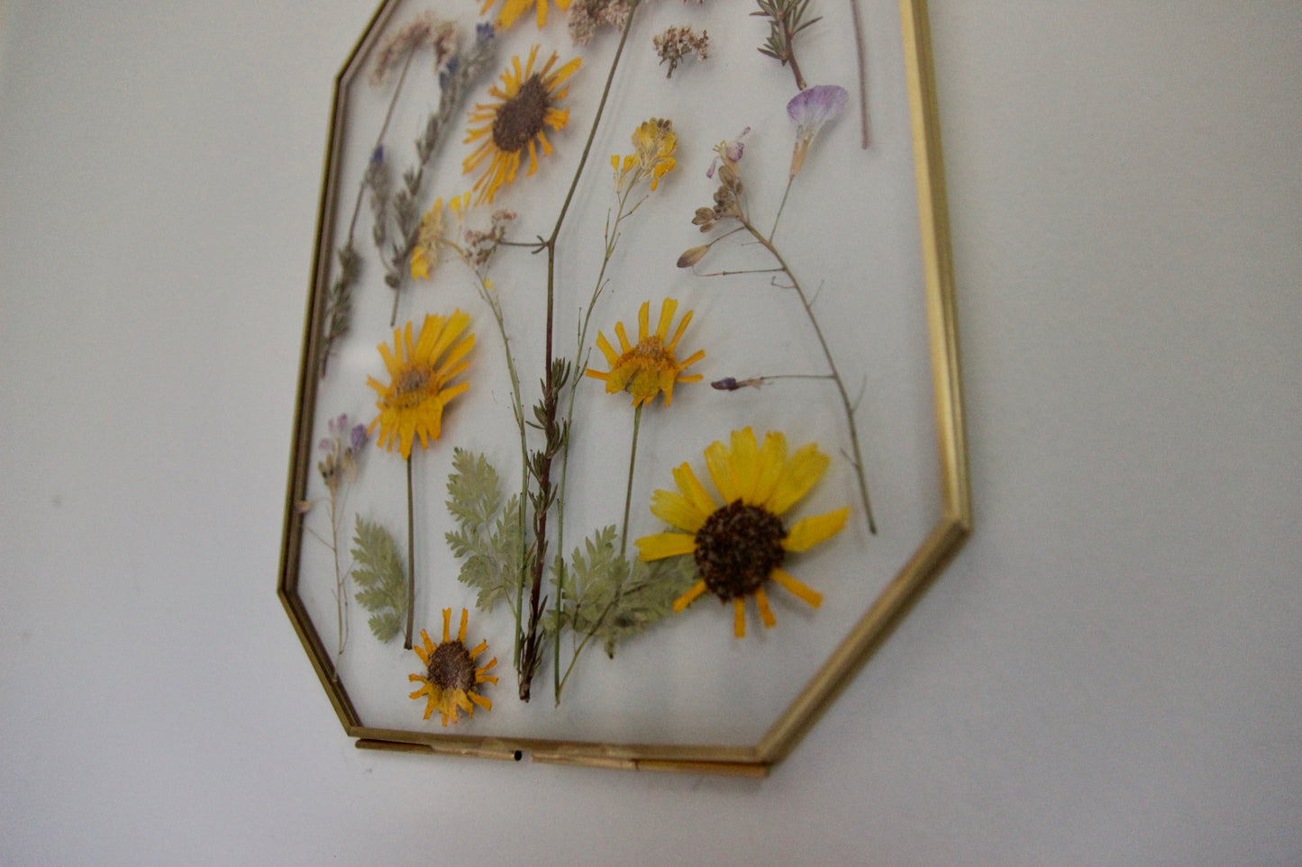 Pressed Flowers in Large Gold Hexagon Frame, 8"x10"