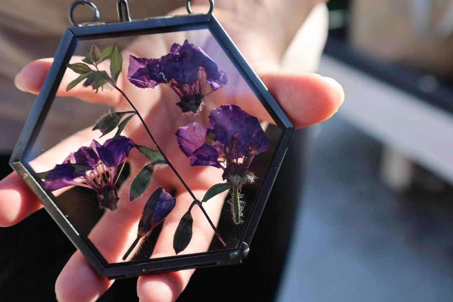Pressed Flower Frame with California Native Plants, 2"x2" Hexagon, Black Frame