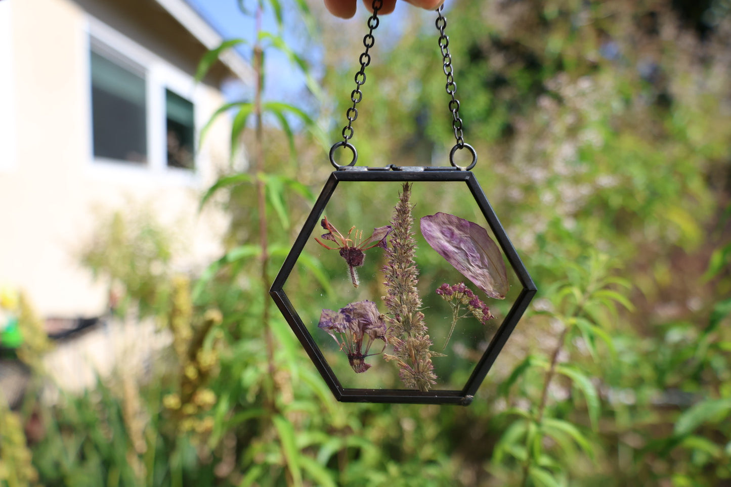 Pressed Flowers in Frame, Hexagon, Black, 2”x2”