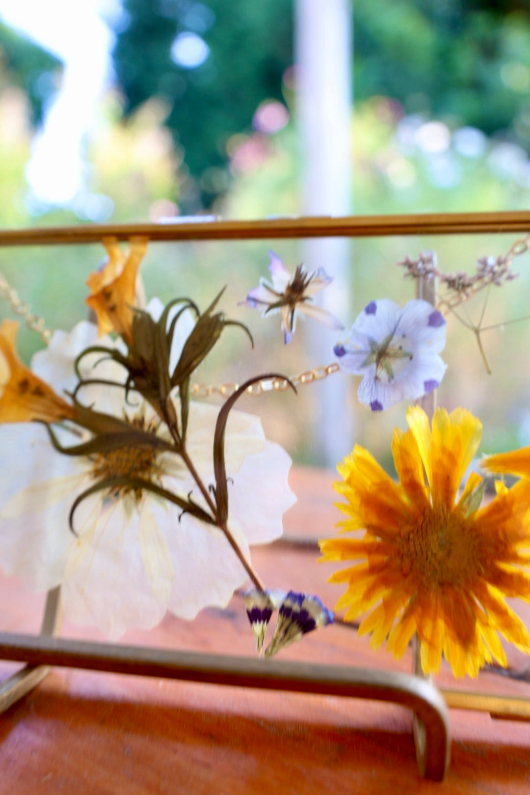 Pressed Flower Art with Real Flowers in Gold Frame with Chain, 4”x6”