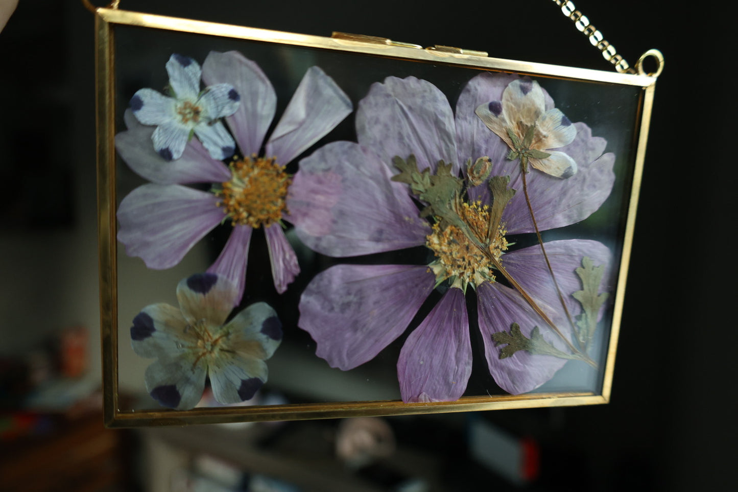Pressed Flower Art in Gold Frame, 4”x6”