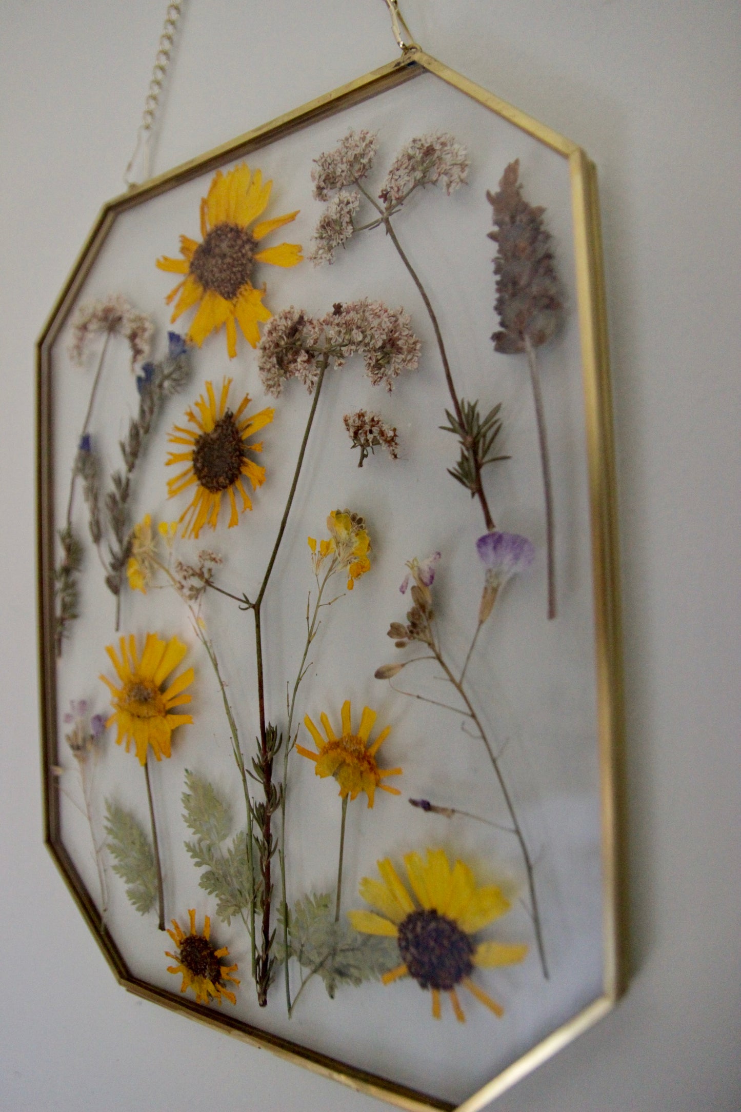 Pressed Flowers in Large Gold Hexagon Frame, 8"x10"