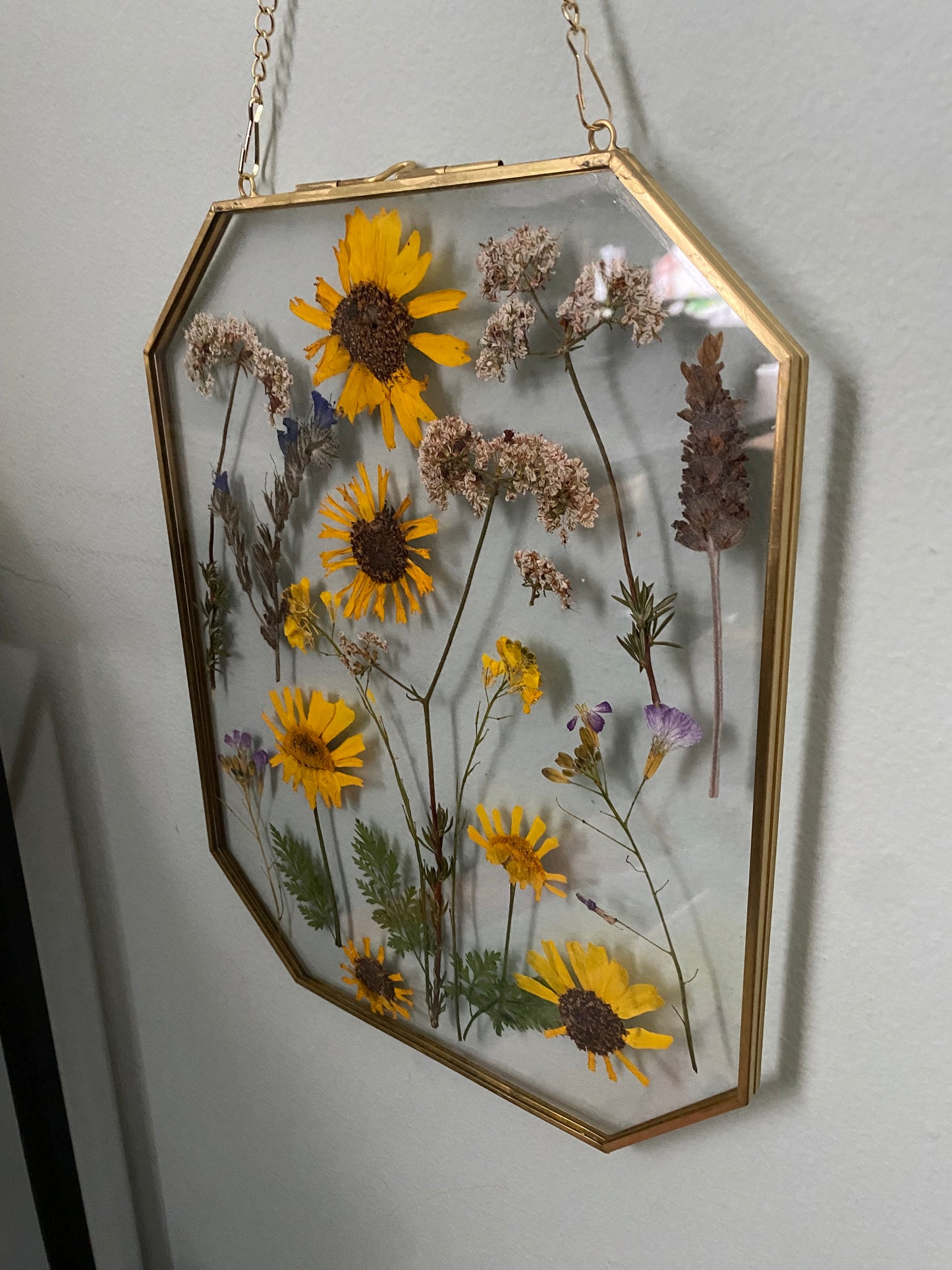 Pressed Flowers in Large Gold Hexagon Frame, 8"x10"