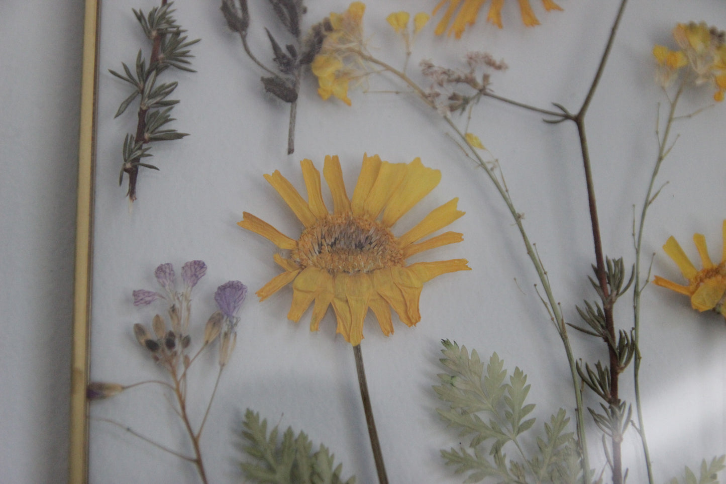 Pressed Flowers in Large Gold Hexagon Frame, 8"x10"