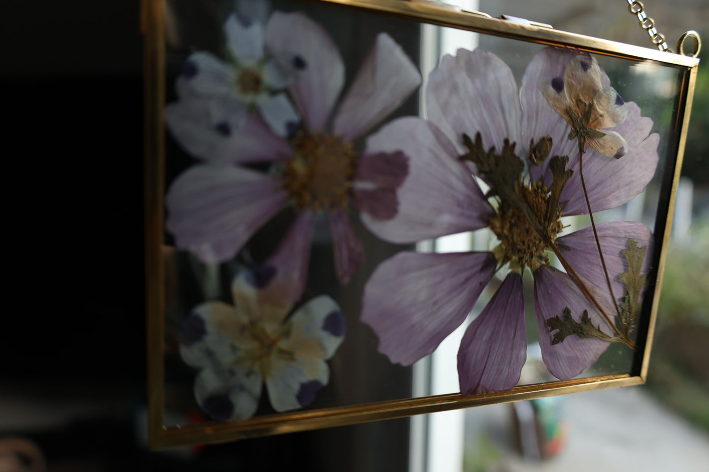 Pressed Flower Art in Gold Frame, 4”x6”