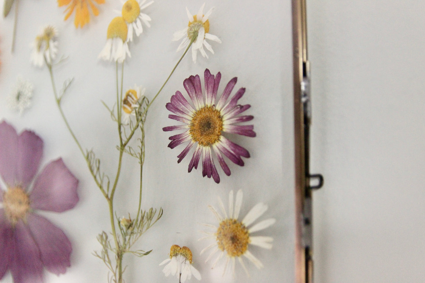 Pressed Flower Art in Large Glass Frame, 8"x10"