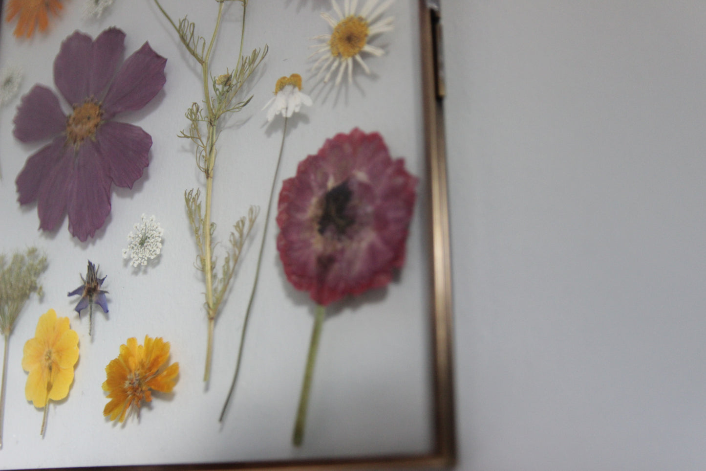 Pressed Flower Art in Large Glass Frame, 8"x10"