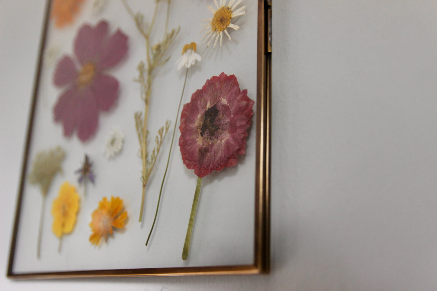 Pressed Flower Art in Large Glass Frame, 8"x10"