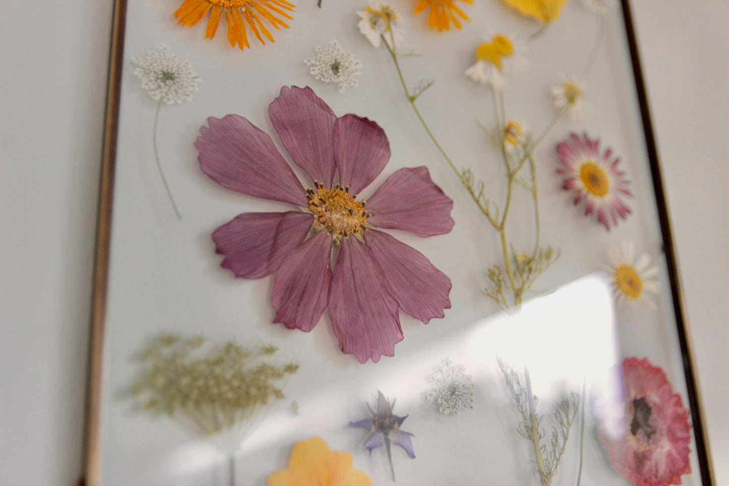 Pressed Flower Art in Large Glass Frame, 8"x10"