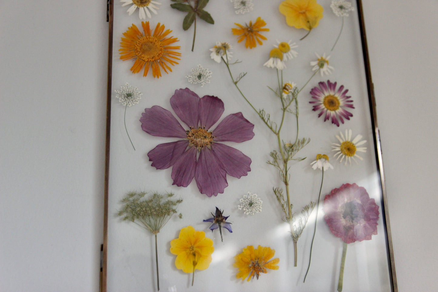 Pressed Flower Art in Large Glass Frame, 8"x10"