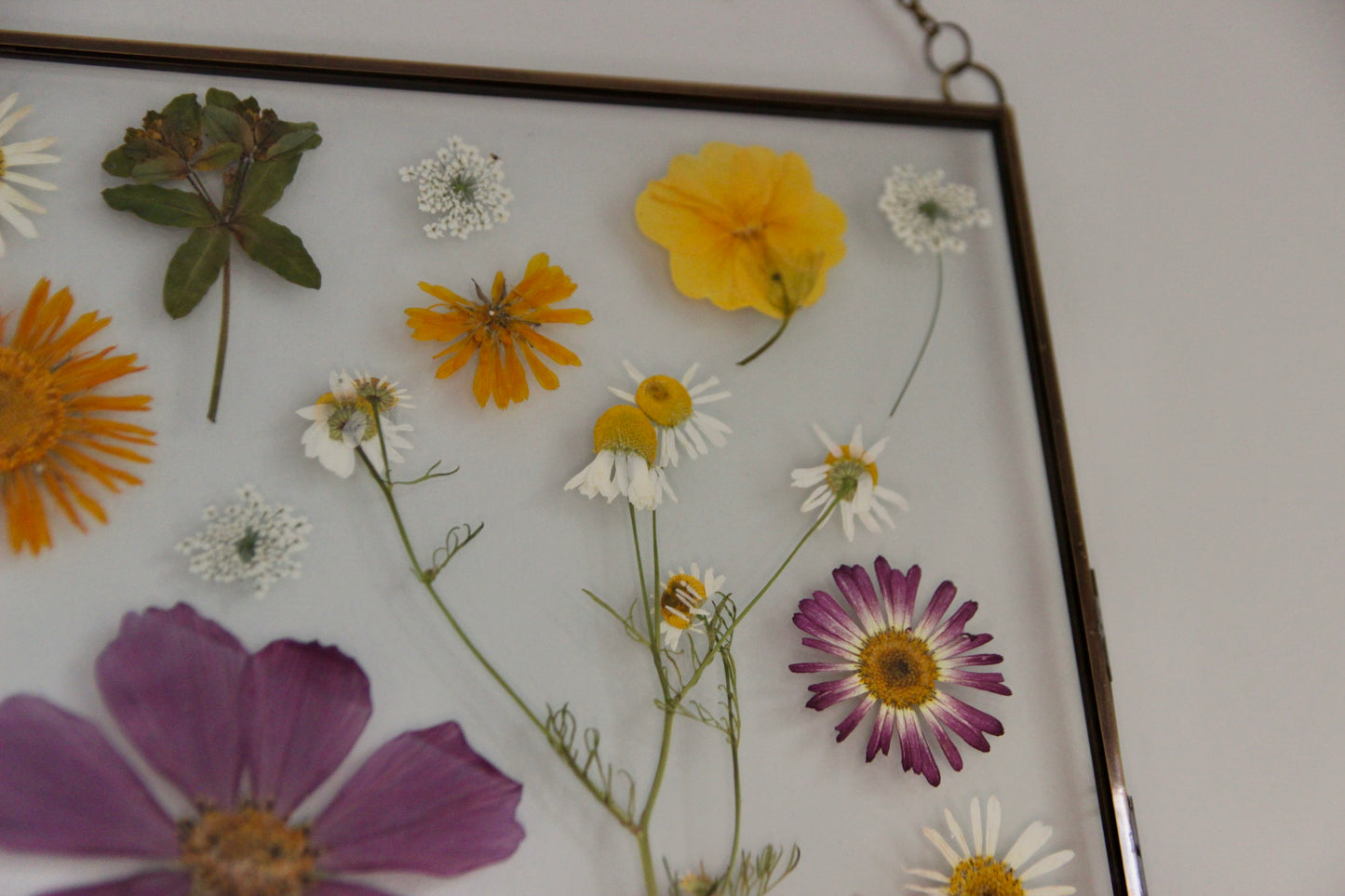 Pressed Flower Art in Large Glass Frame, 8"x10"